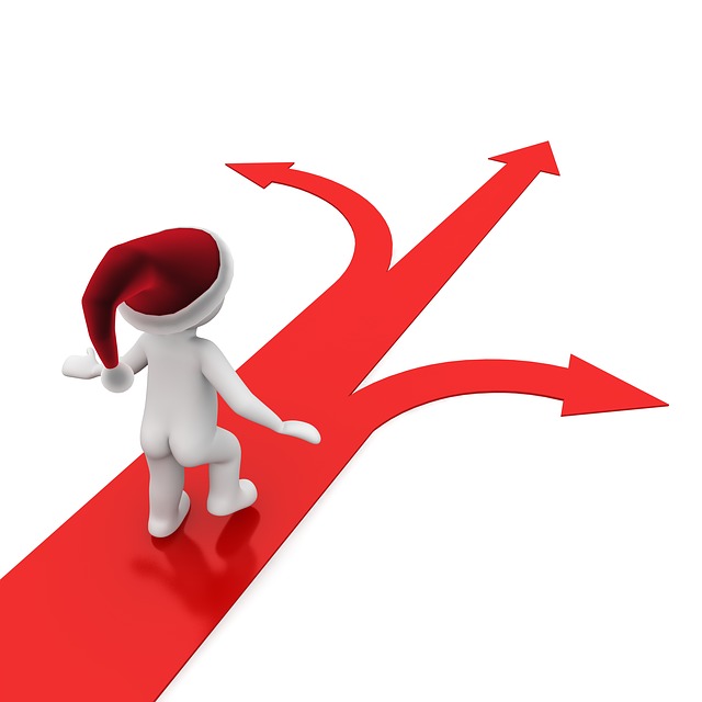 Hoe koopt de Duitsers